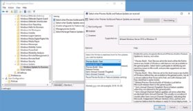 Figure 3. Options de gestion de Windows Update for Business pour les versions préliminaires et les mises à jour de fonctionnalités.