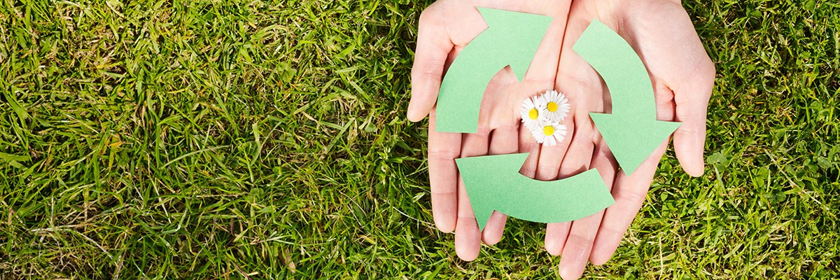 Comment rendre l’IA plus verte et plus efficace | LeMagIT