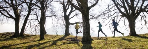 Amer Sports : à fond dans la course à la modernisation&nbsp;IT